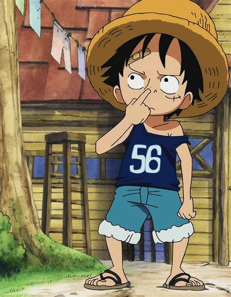 ワンピースgif|one piece Images, Photos, Memes, Gifs, and Pictures